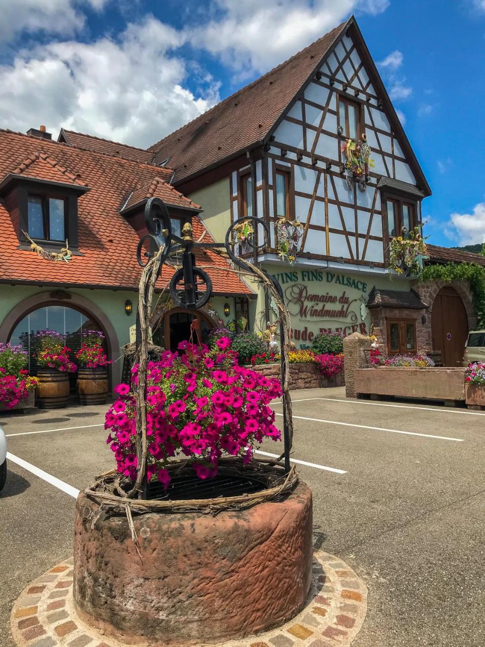 Domaine Bleger By Windmuehl Hotel Saint-Hippolyte  Exterior photo