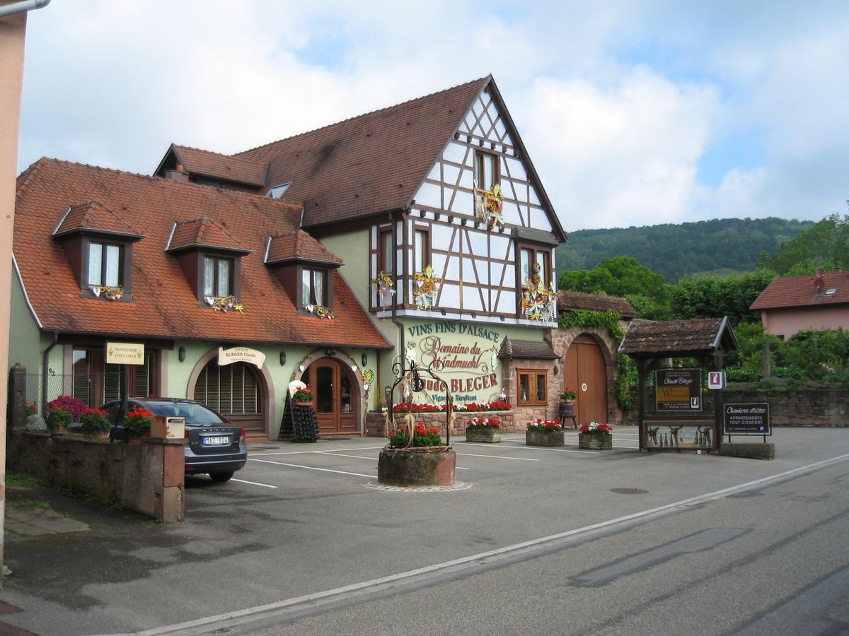 Domaine Bleger By Windmuehl Hotel Saint-Hippolyte  Exterior photo